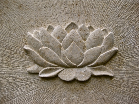 lotus-steen