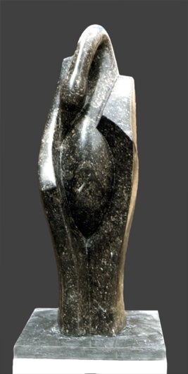 zwaan